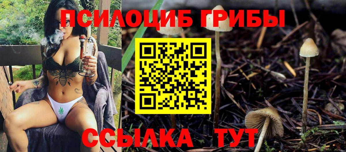 Первоуральск  Галлюциногенные грибы GOLDEN TEACHER  Вход с VPN  Галлюциногенные грибы GOLDEN TEACHER 