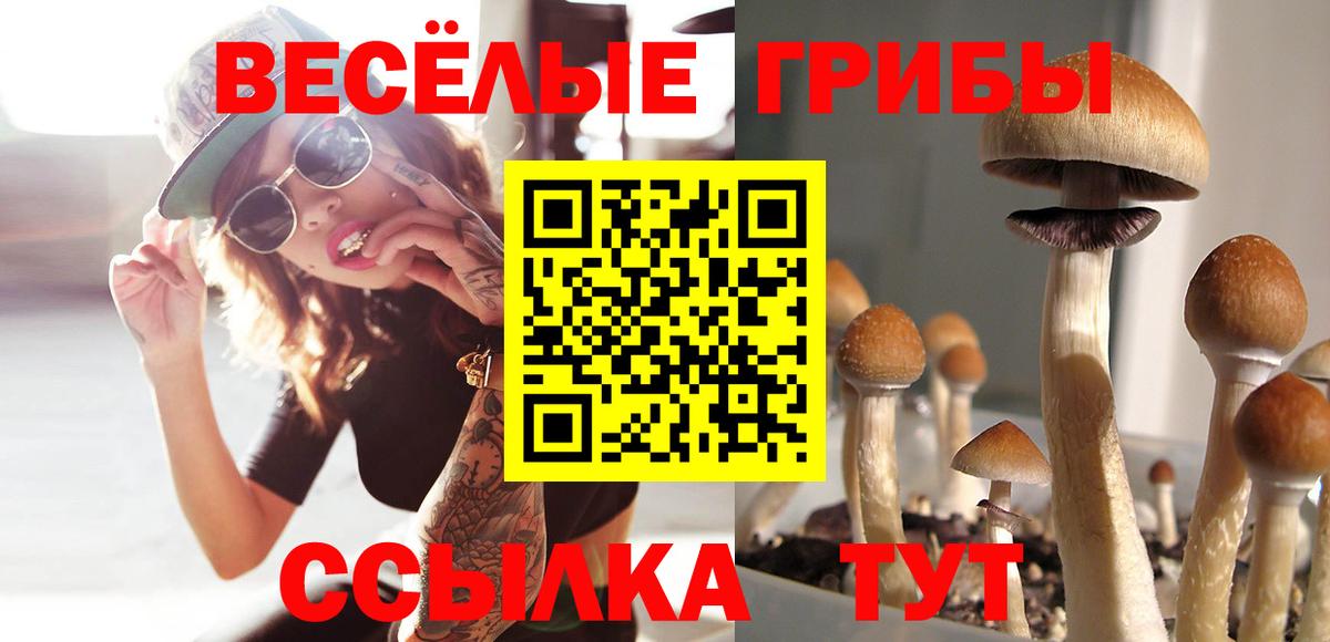Галлюциногенные грибы Magic Shrooms Первоуральск